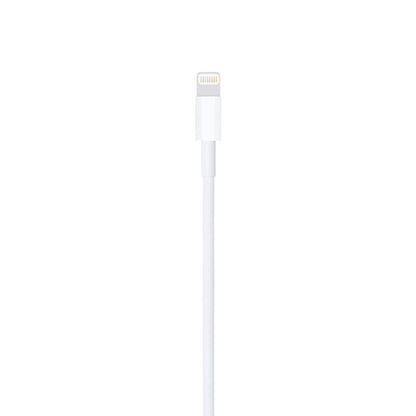 Cavo Cavo caricabatterie iPhone , ipad .